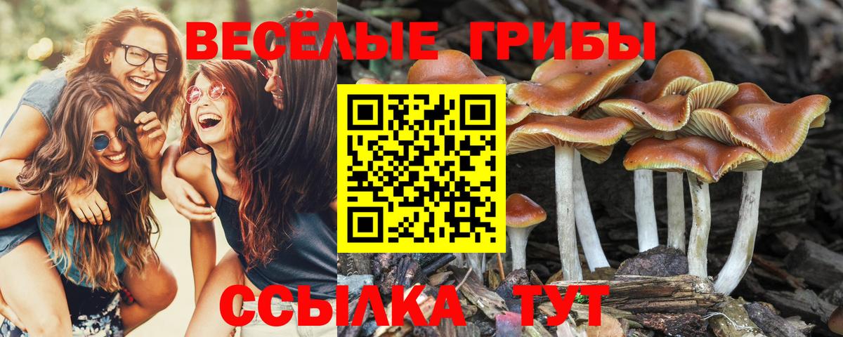 Галлюциногенные грибы Magic Shrooms Нефтеюганск